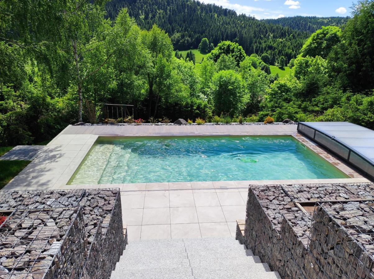 Le Cerf, Chalet Cocooning Avec Piscine Et Billard Ban-sur-Meurthe-Clefcy エクステリア 写真