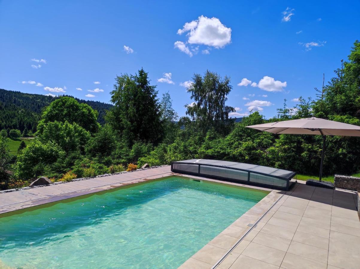 Le Cerf, Chalet Cocooning Avec Piscine Et Billard Ban-sur-Meurthe-Clefcy エクステリア 写真