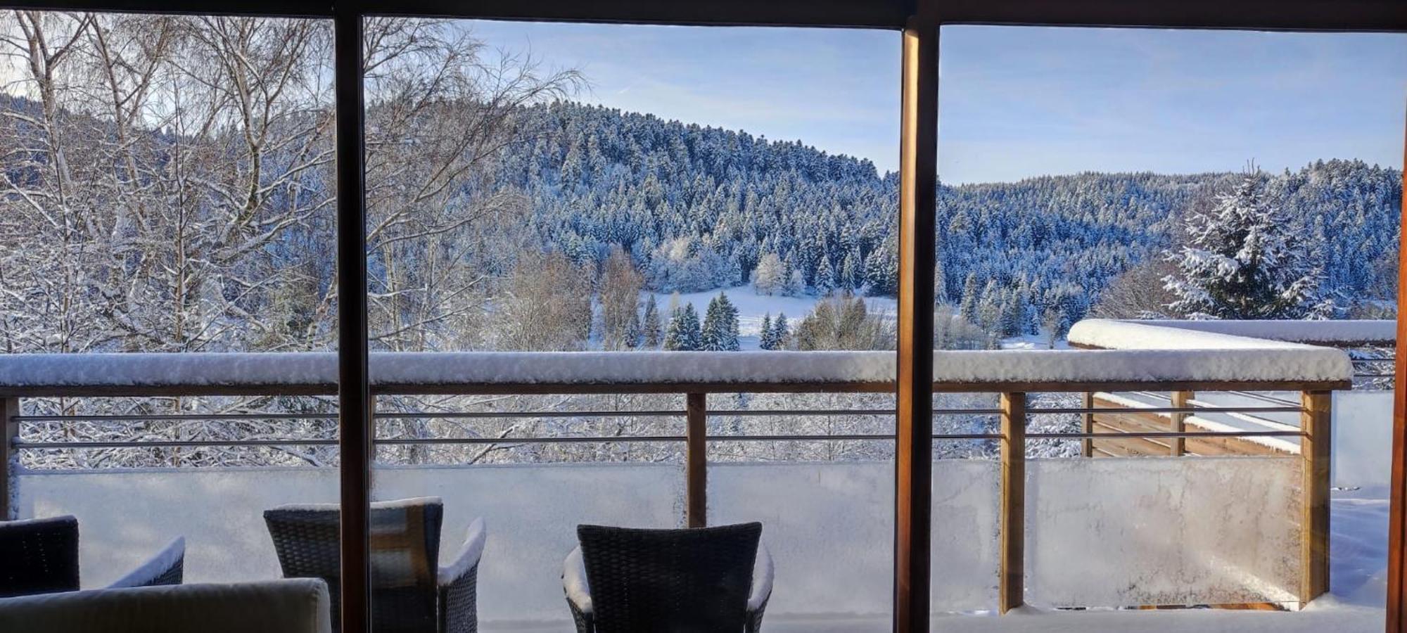 Le Cerf, Chalet Cocooning Avec Piscine Et Billard Ban-sur-Meurthe-Clefcy エクステリア 写真